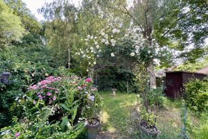 Photo 2- click for photo gallery